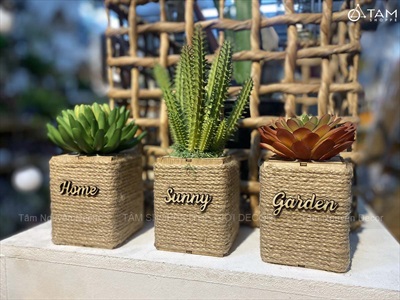 Chậu sen đá vuông quấn dây thừng để bàn [Nhiều kiểu] CHAUCAYGIA-20